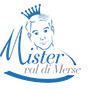 Mister Val di Merse